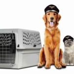 BEST INDIAN PACKERS AND MOVERS